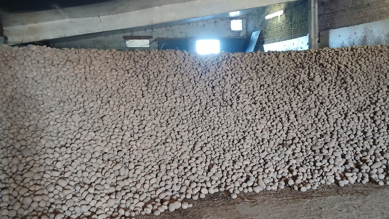 How to Download Missed Lotto 6 Aus 45 Mit Joker Episodes